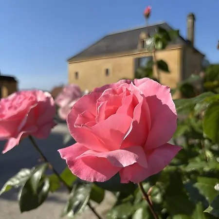 Bed & Breakfast D'hotes Les Clauzels Proissans