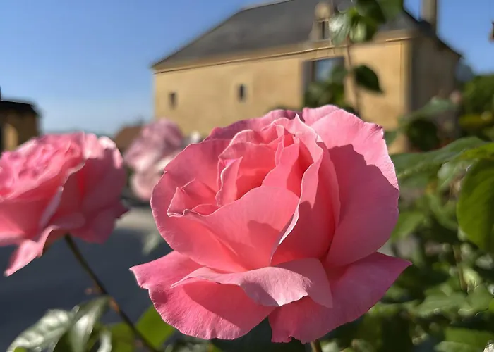 D'hotes Les Clauzels Proissans